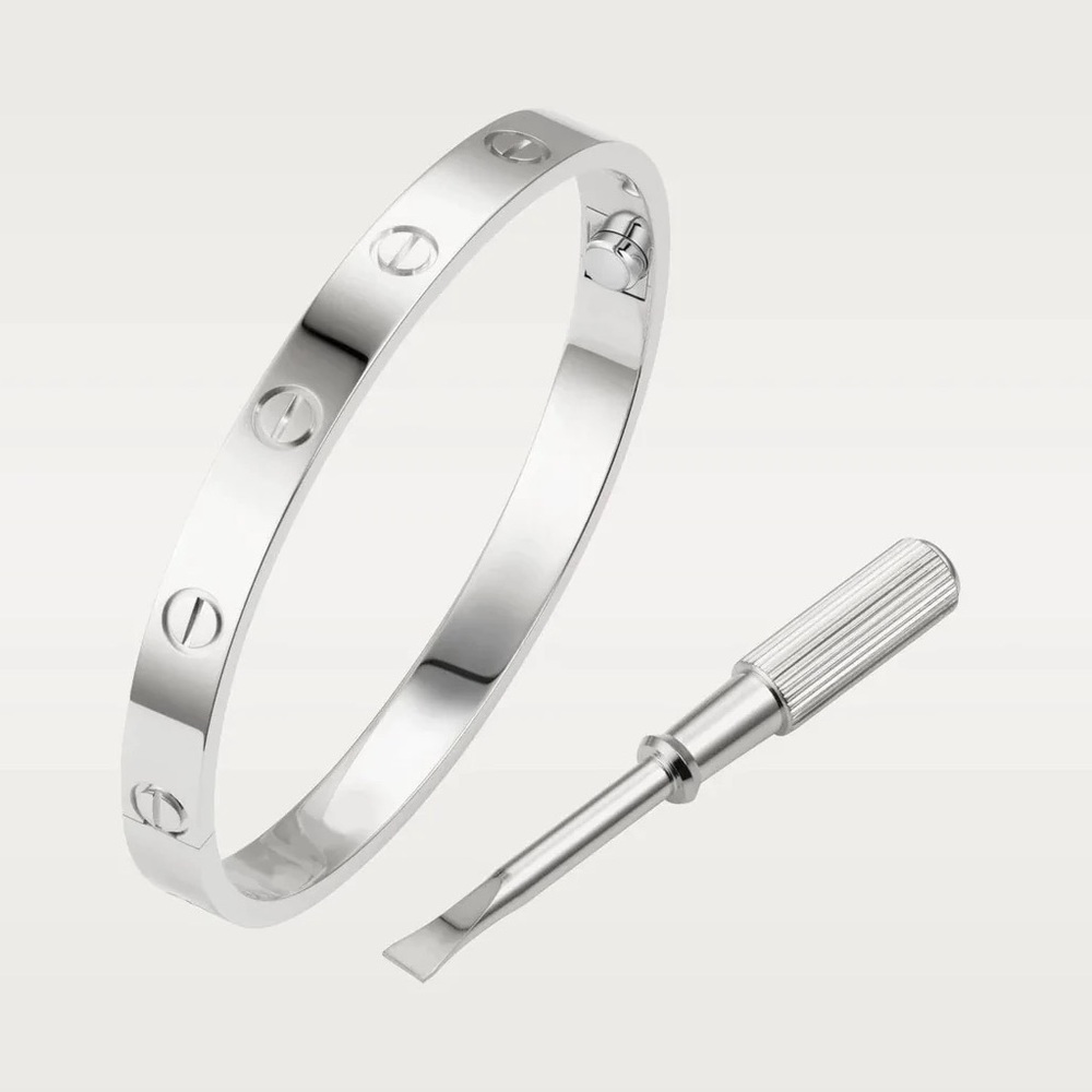 Generic Screw Bracelet with Screwdriver in Silver